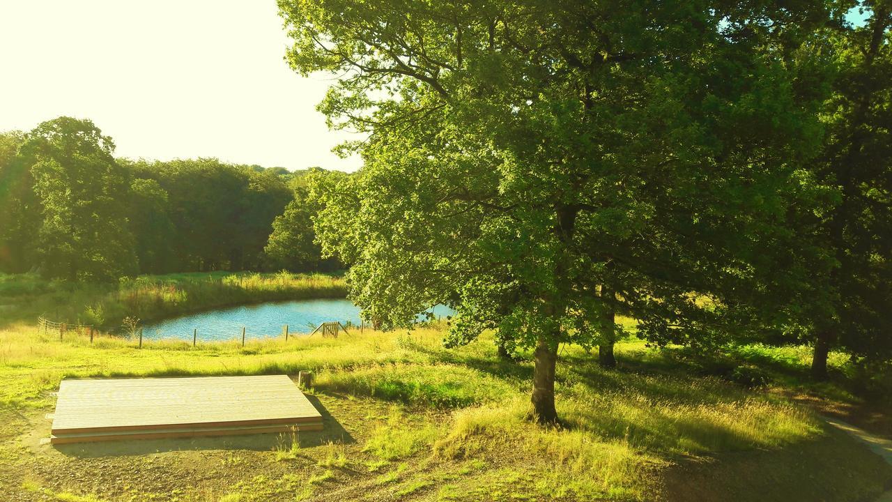 L'Etape En Foret Saint-Sever-Calvados Bagian luar foto